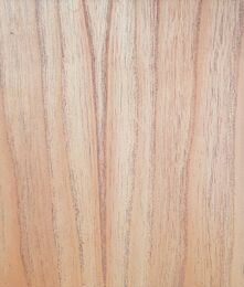 20200310_174123_resized